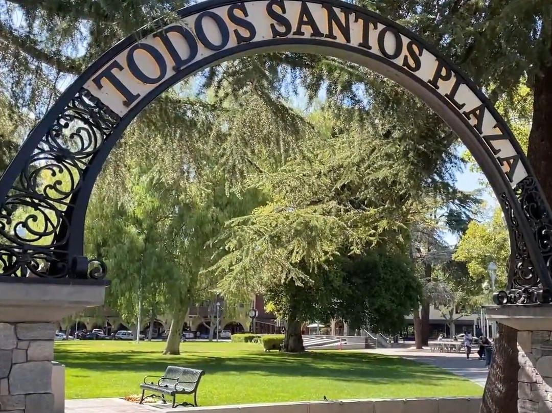Todos Santos Plaza-康科德必去景点