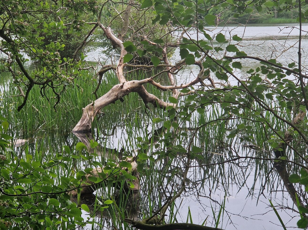 Bolam Lake Country Park-Belsay必去景点
