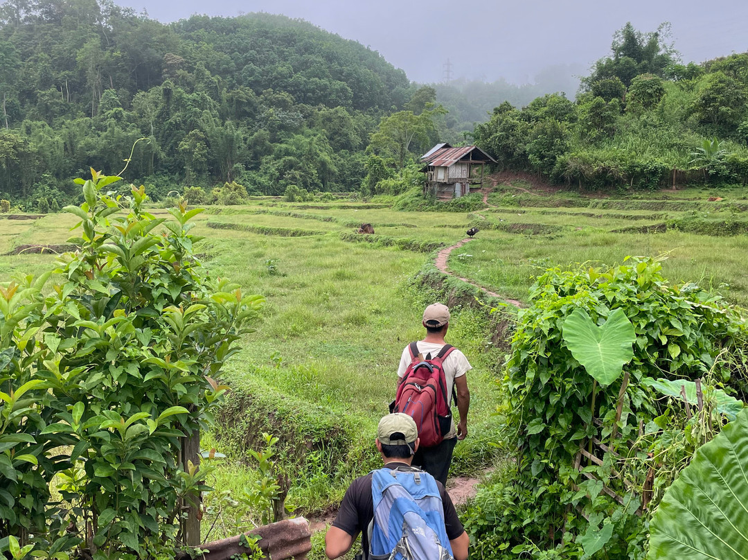 Forest Retreat Laos景点图片