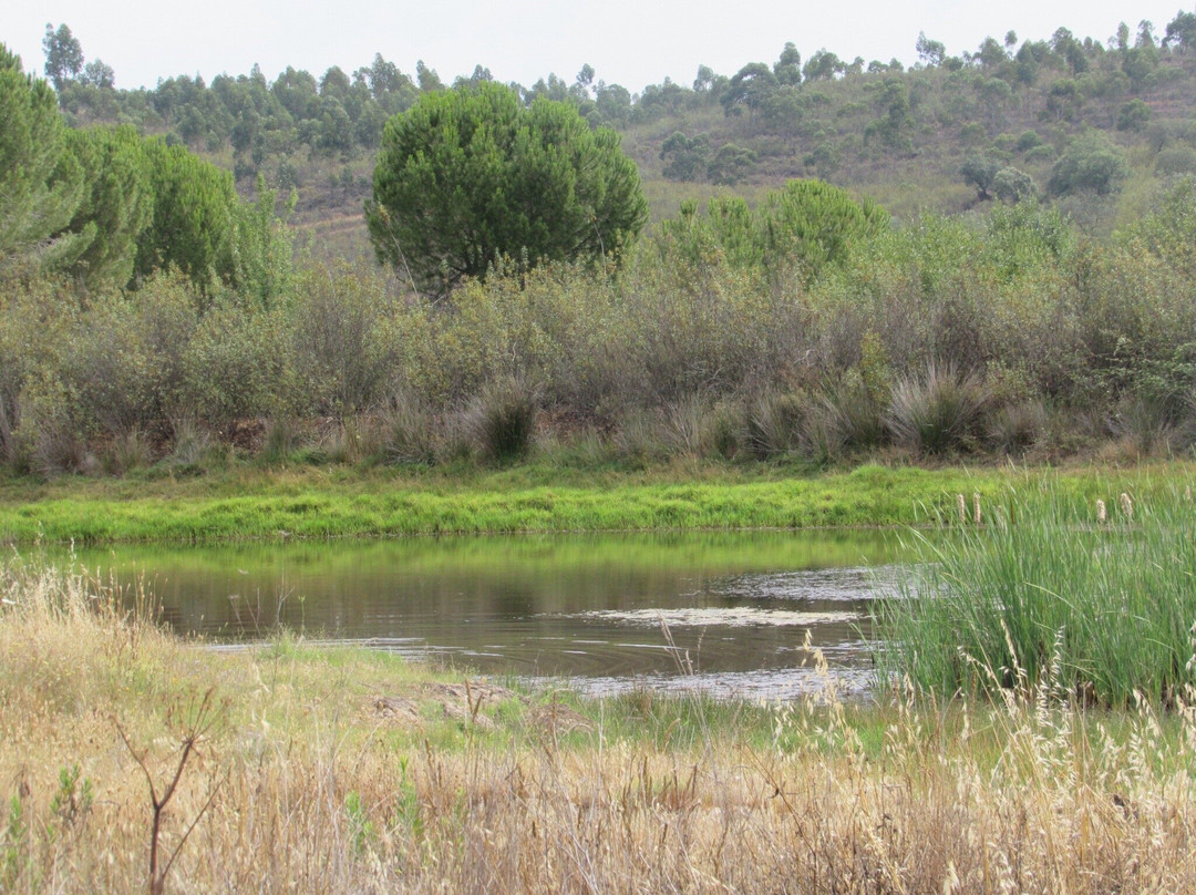 Herdade Do Rio Torto主图