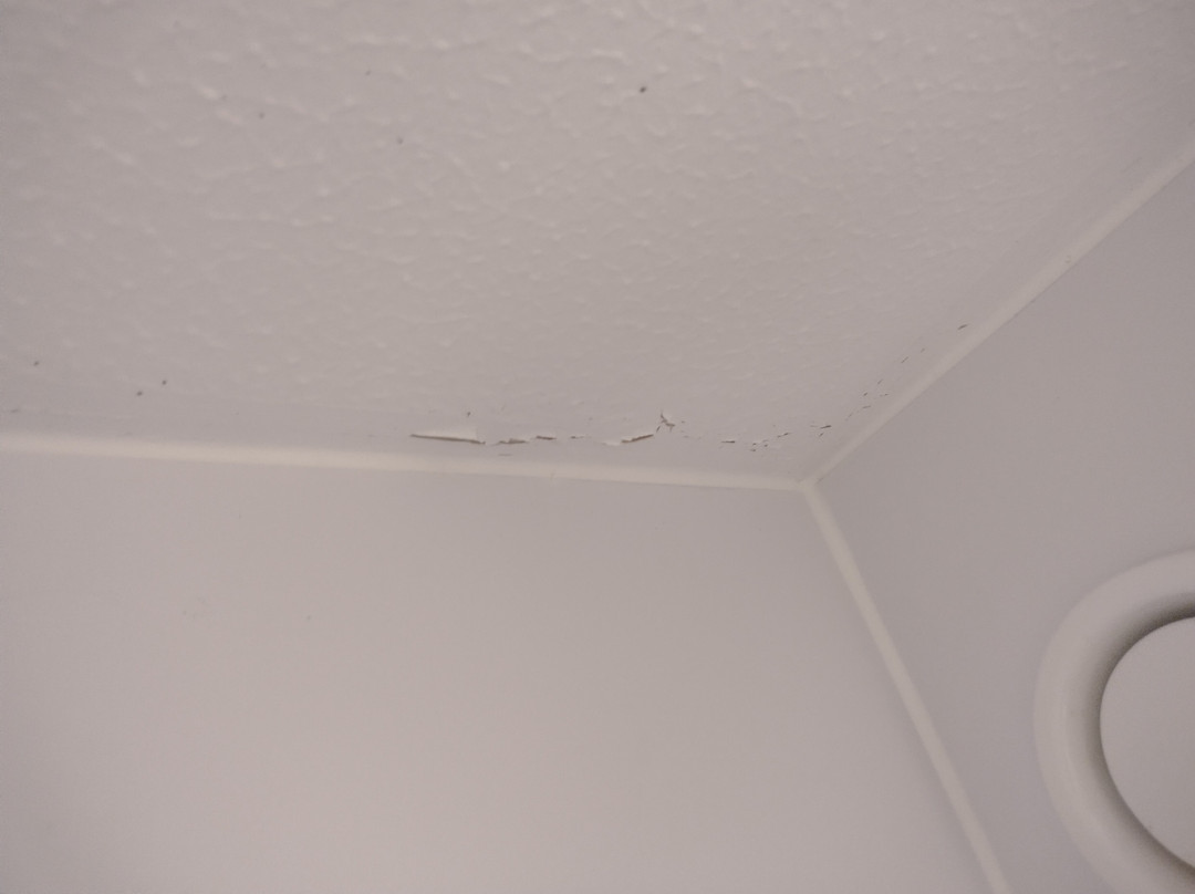 Travelodge Nuneaton主图