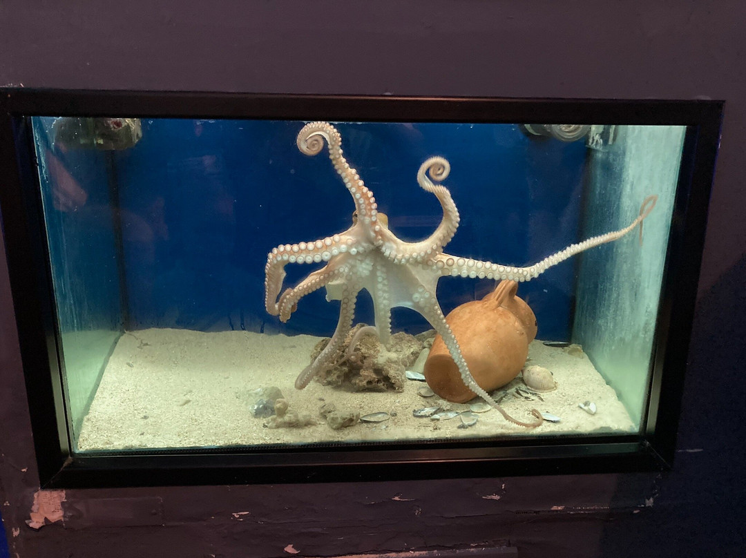 Acquario Del Salento-Santa Maria al Bagno必去景点