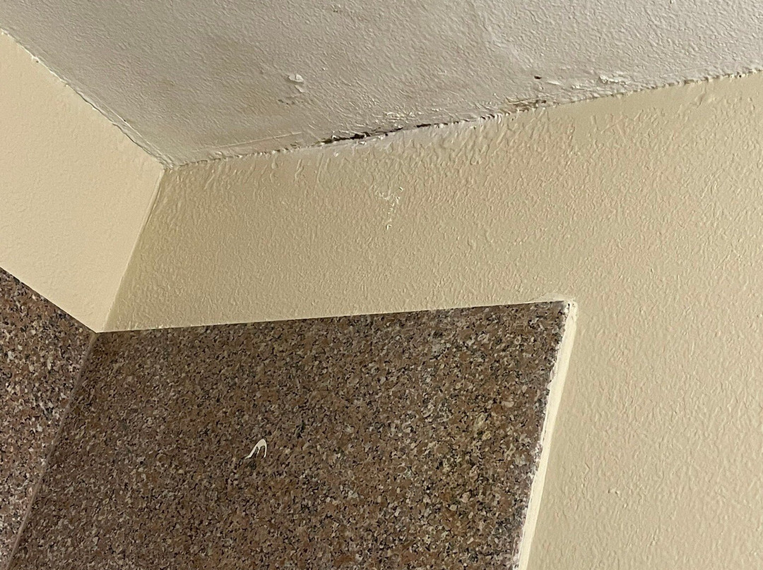 贝斯特韦斯特特洛伊旅馆主图