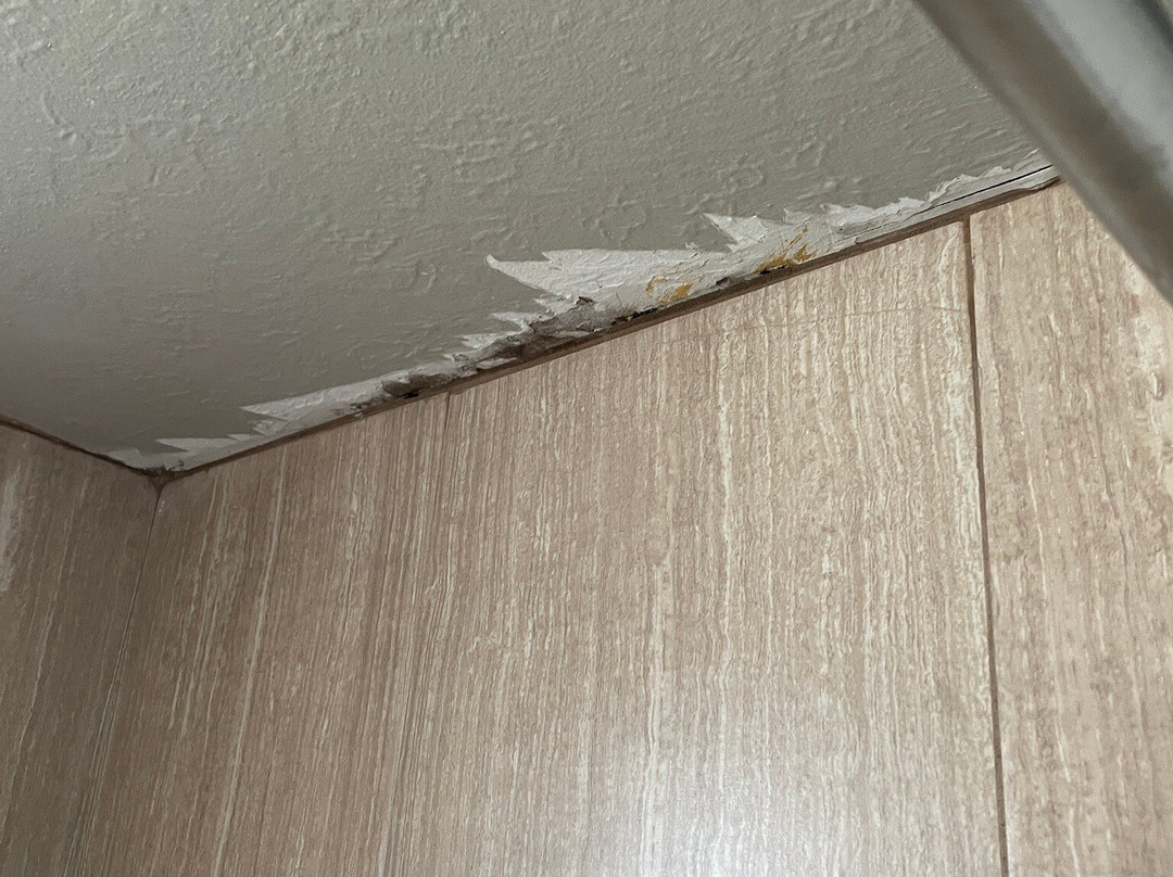 Guest House Motel主图