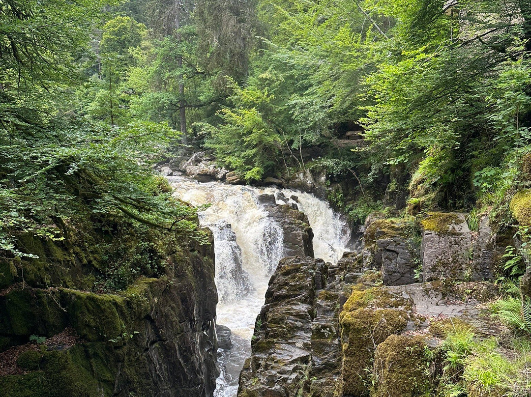 Pine Cone Point-Dunkeld必去景点