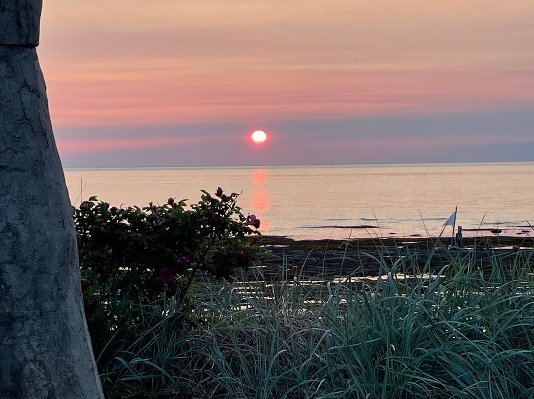 Centre d'Art Marcel Gagnon-Sainte-Flavie必去景点