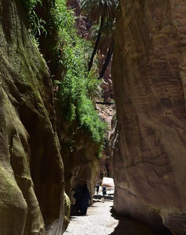 Jo Tours-安曼必去景点