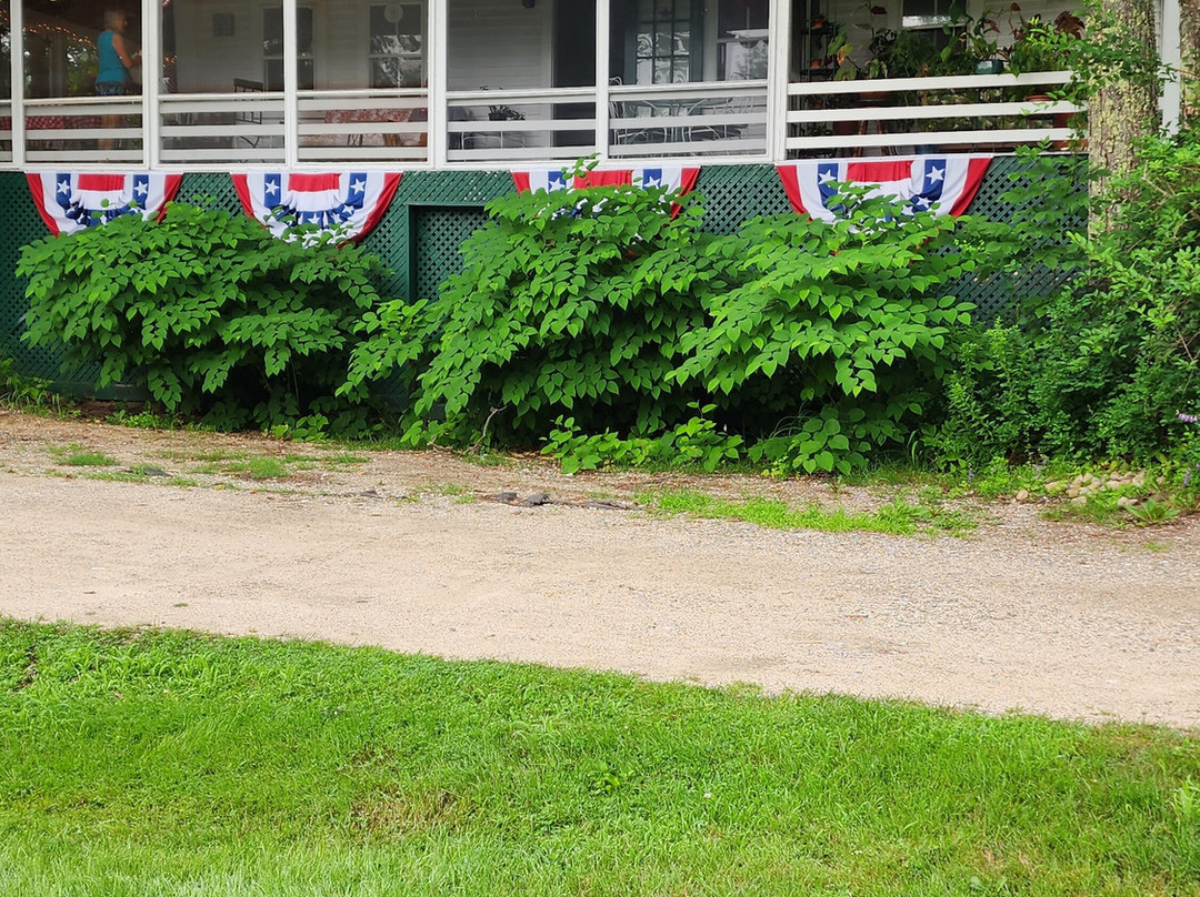 The Farmstand B & B主图