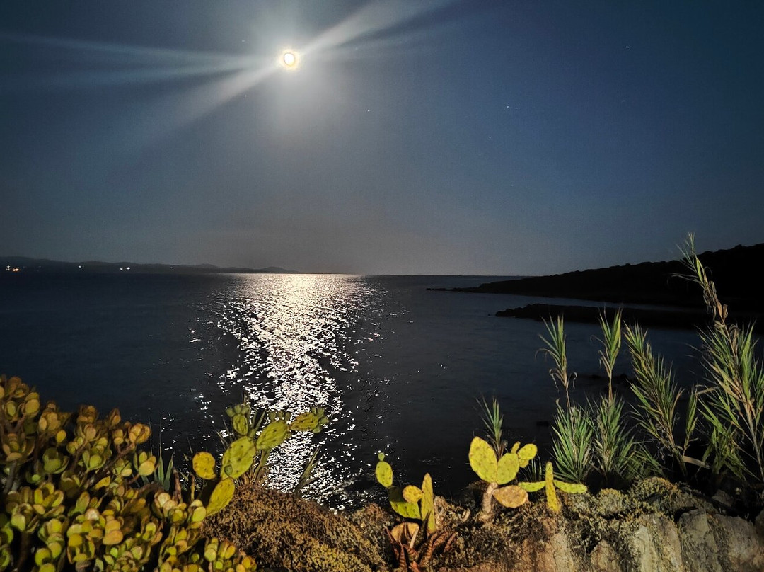 Spiaggia di Punta Nera-Carloforte必去景点