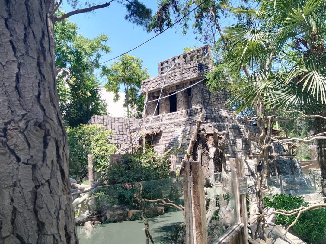 Buin Zoo-Buin必去景点