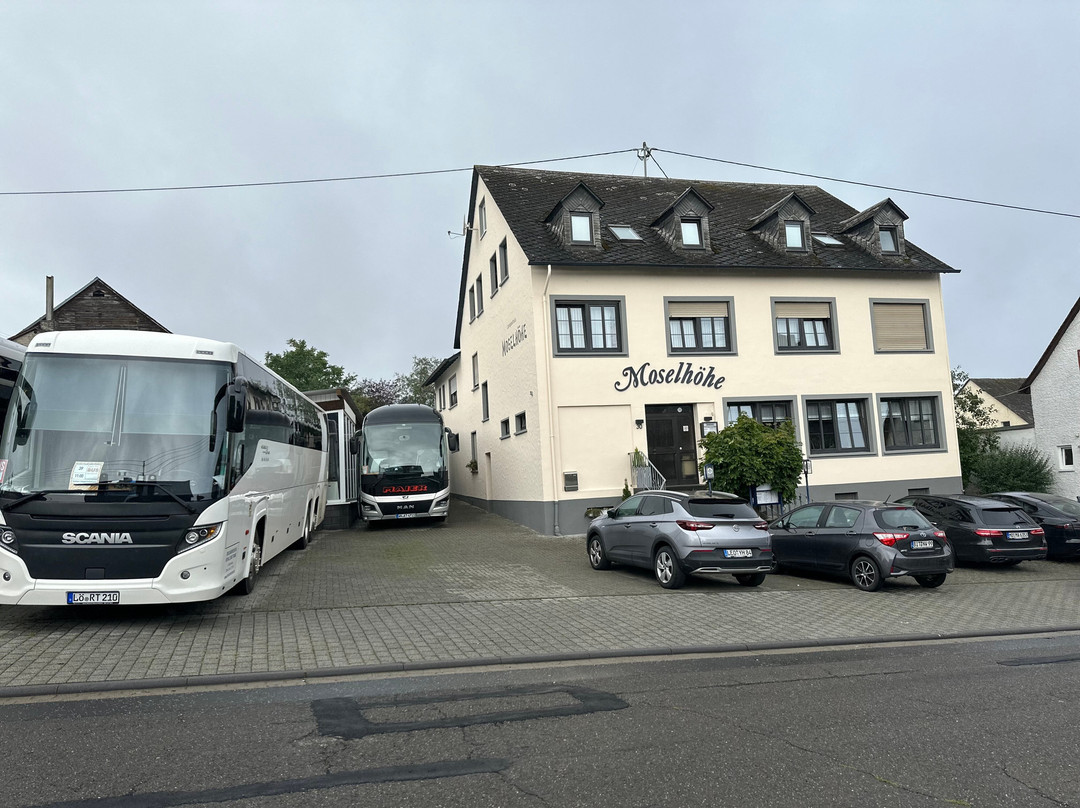 Landgasthaus Moselhoehe主图