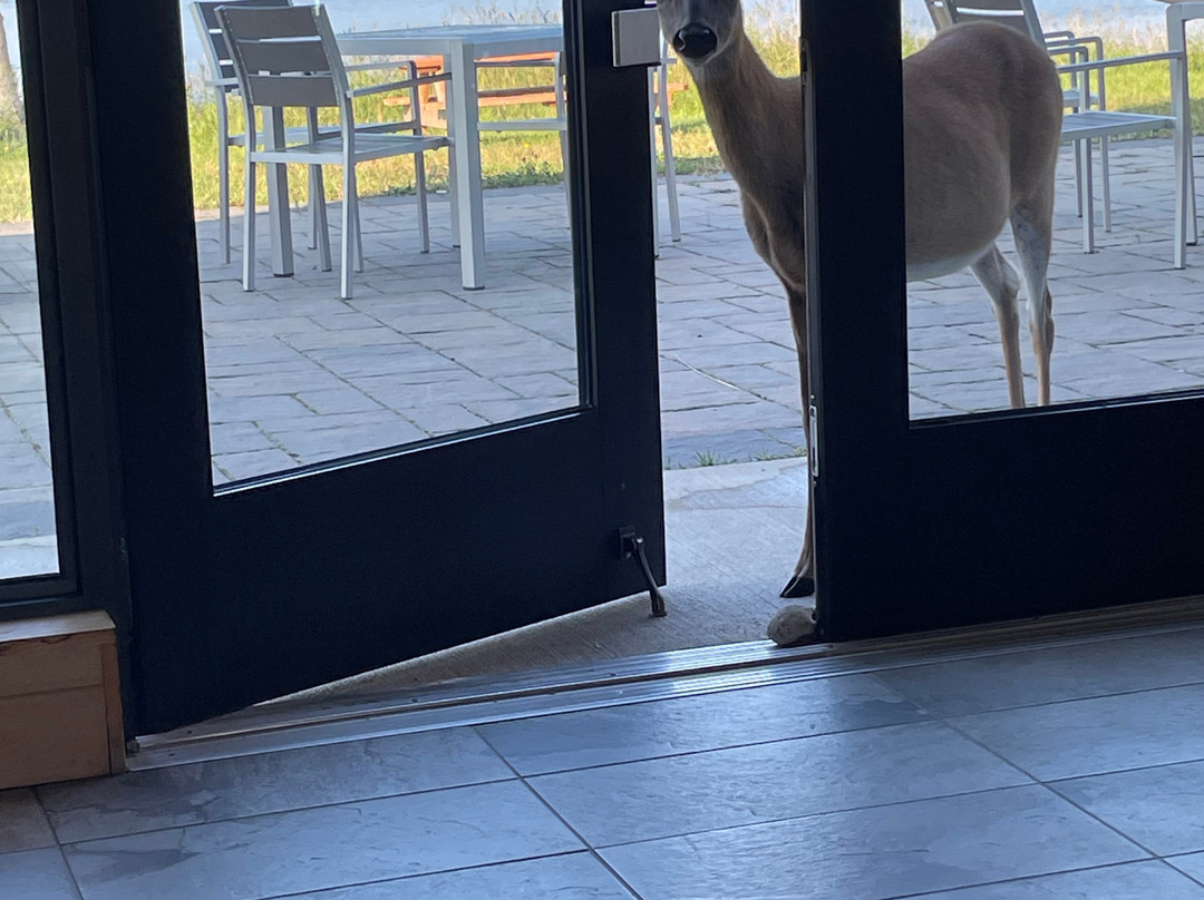 Anticosti Ecotours-Port-Menier必去景点