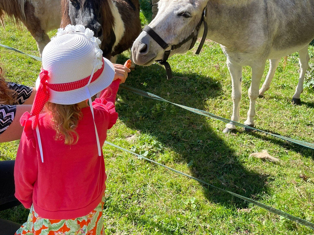 La Maison du Bonheur主图