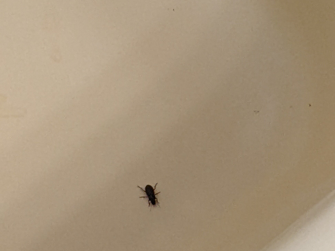 Farmington Motel主图