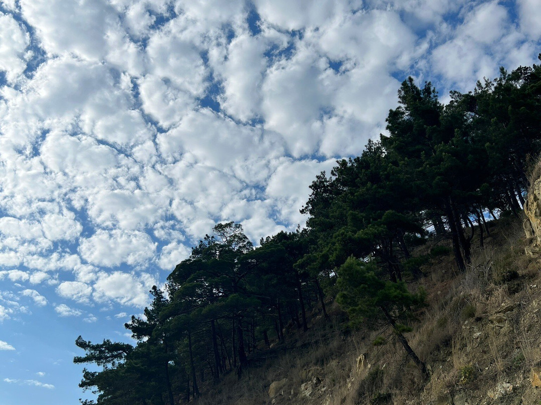 Gostevoy Dom Yekaterina主图