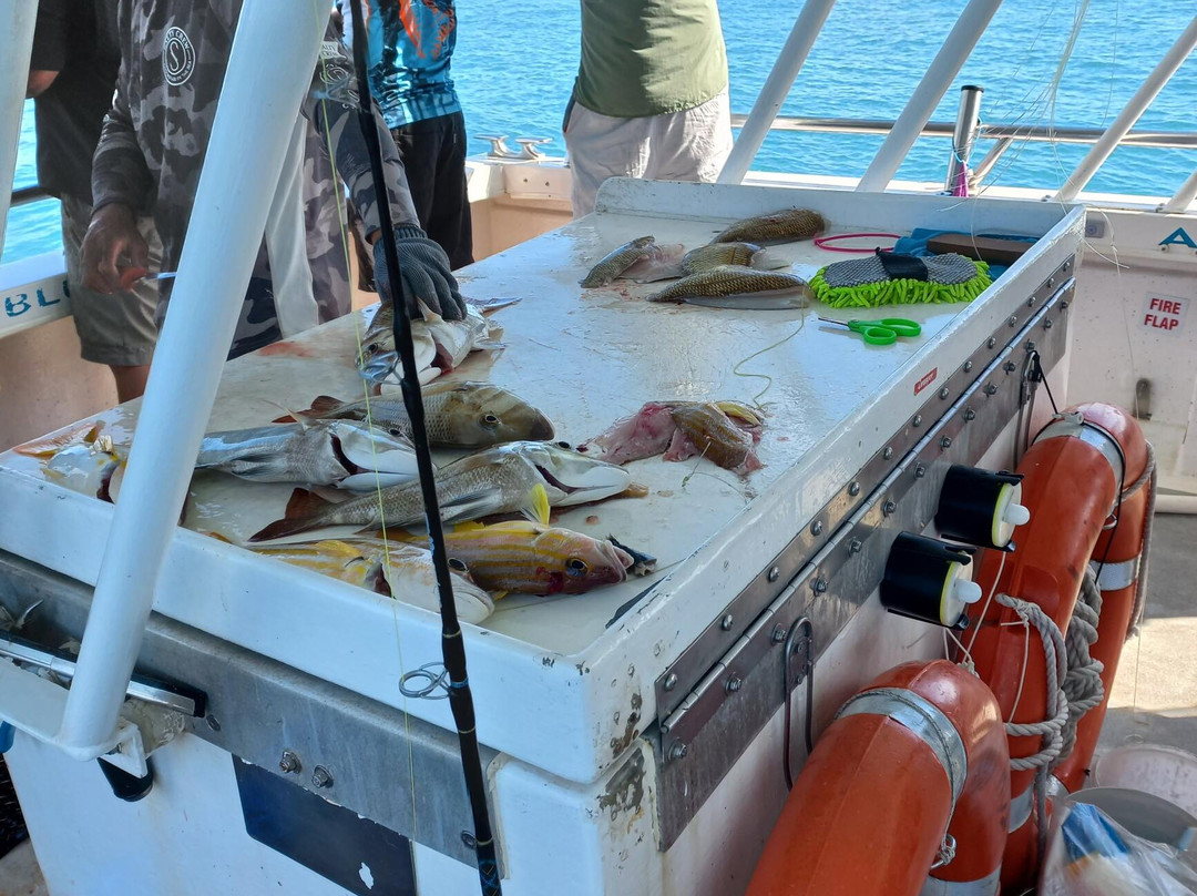 Arafura Bluewater Charters-达尔文市必去景点