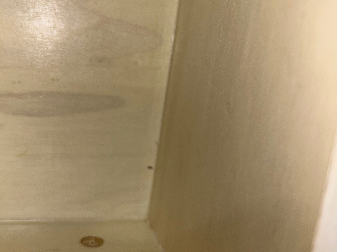 Quality Inn & Suites Downtown Mansfield主图