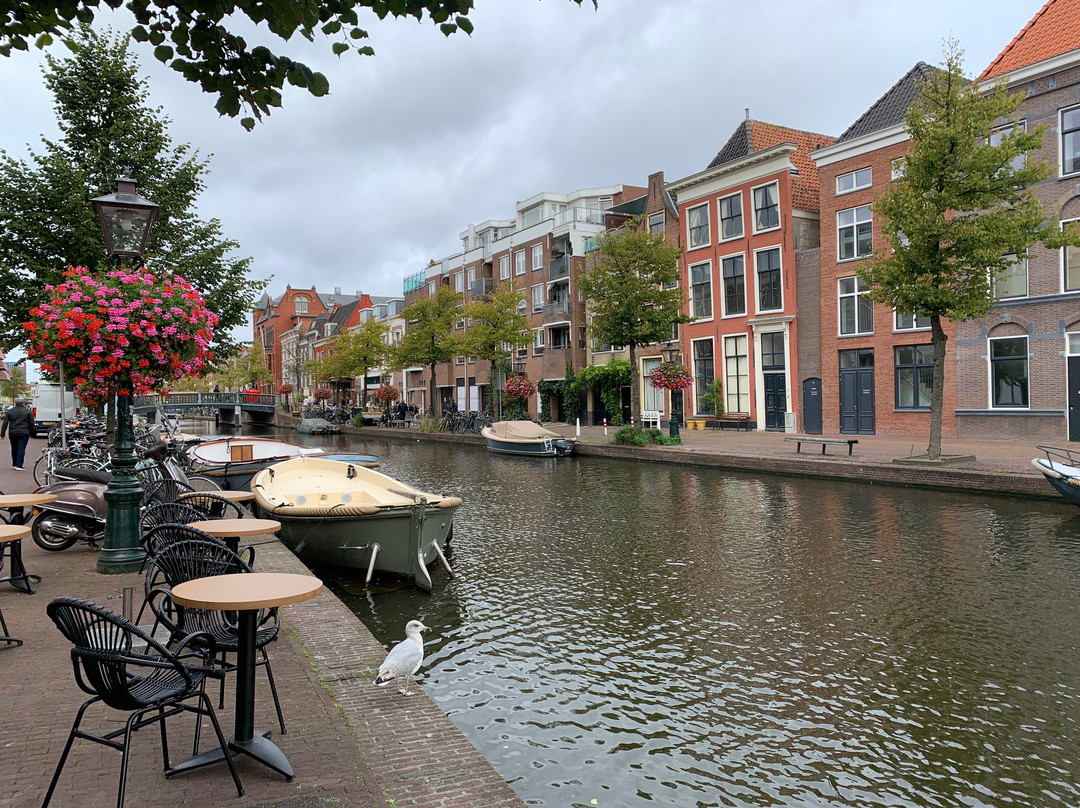 The Leiden Loop - City Walk景点图片