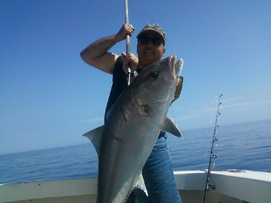 Paradise Fishing Charters-Don Pedro Island必去景点