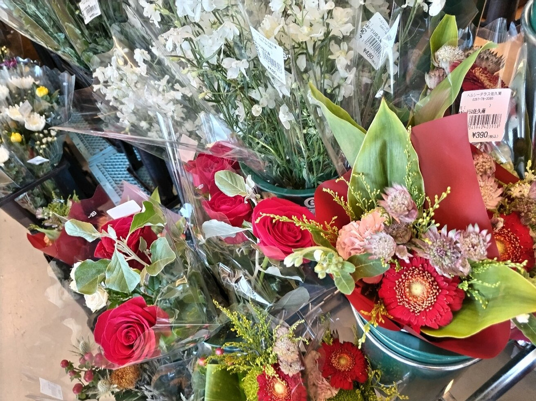 Michi-no-Eki Healthy Terrace Sakuminami-佐久市必去景点