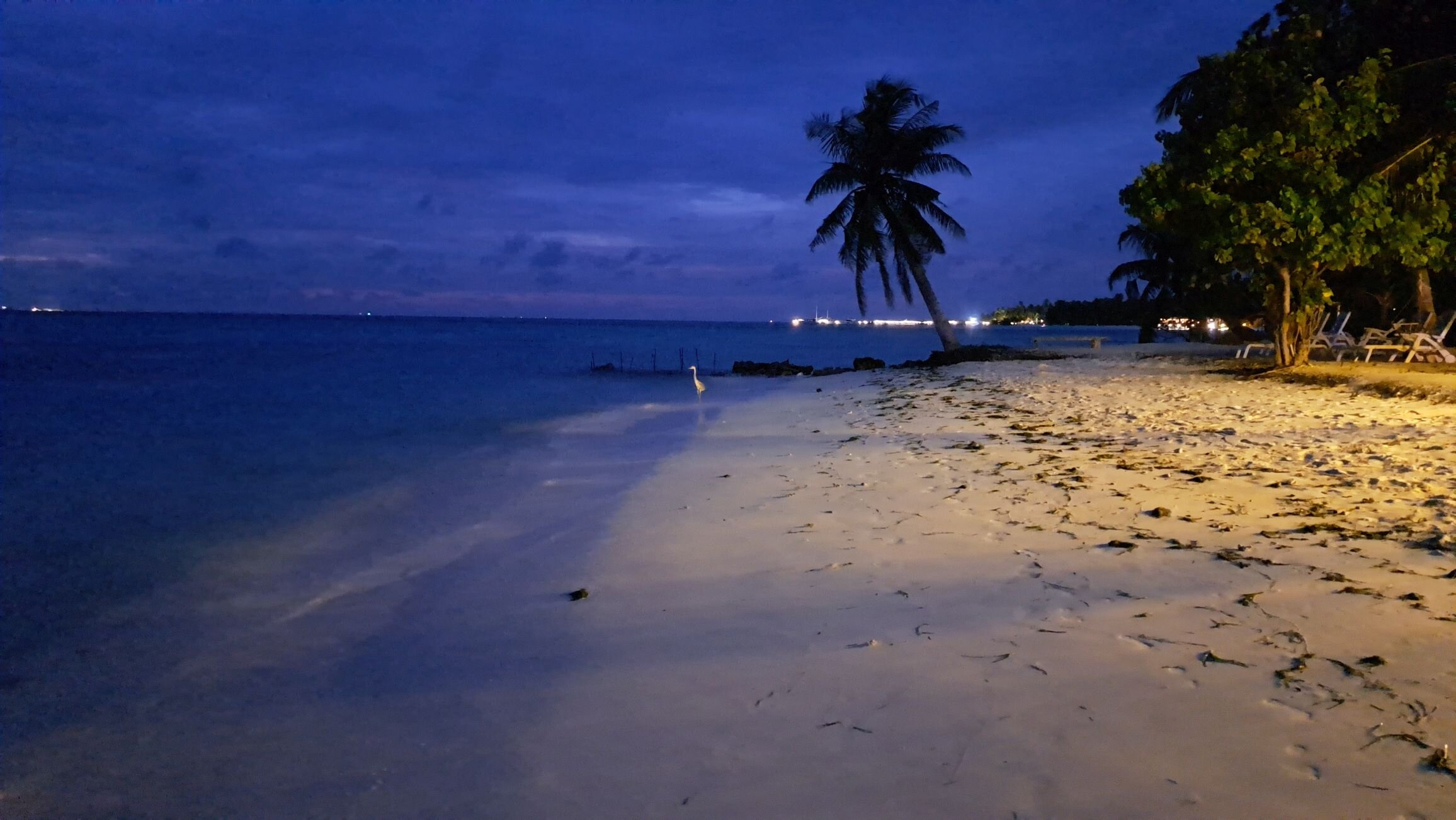 Crown Beach Hotel Maldives-泳池
