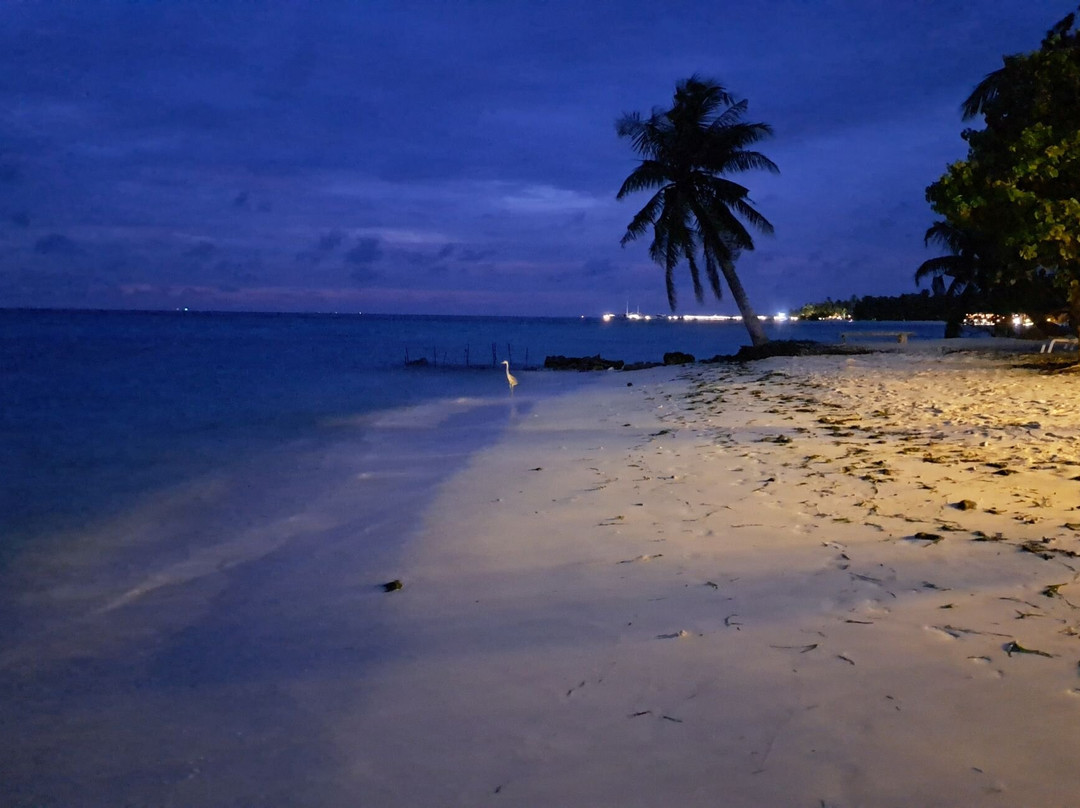 Crown Beach Hotel Maldives主图