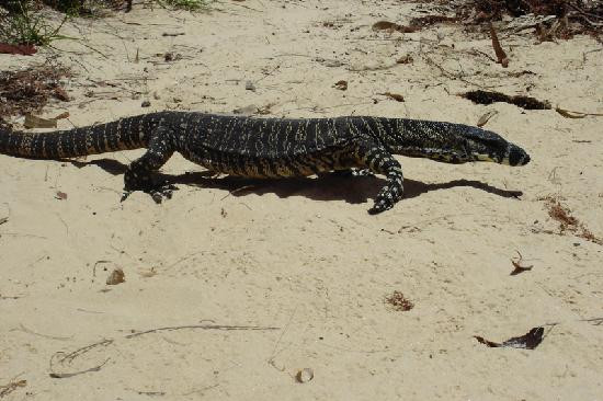 Sydney Seaplanes-Rose Bay必去景点