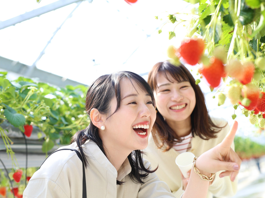 Mimasaka Farm-美作市必去景点