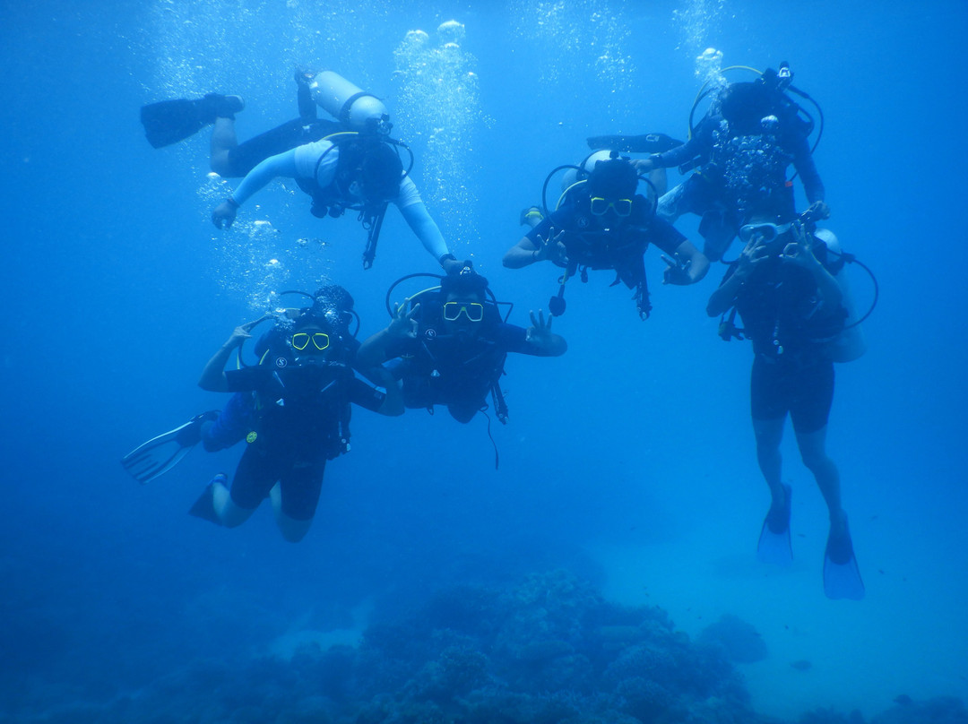 Turquoise Dream | PADI Dive Centre景点图片
