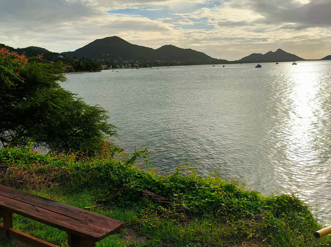 Green Roof Inn主图