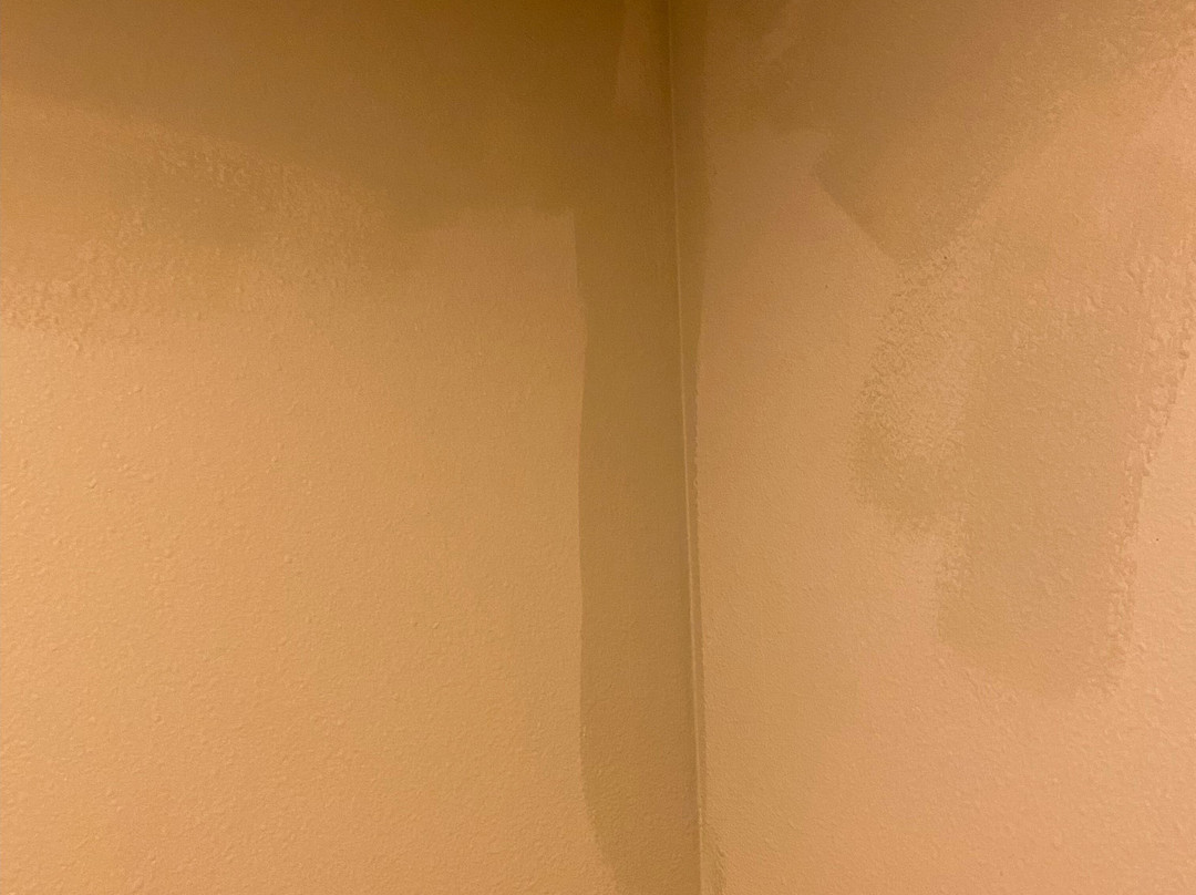 Super 8 by Wyndham Dodgeville主图