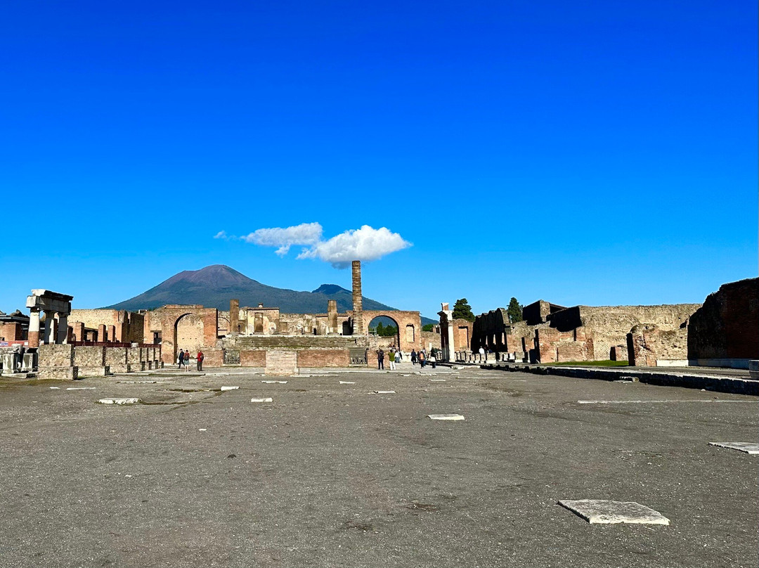 Silvia Braggio tours-Paestum必去景点