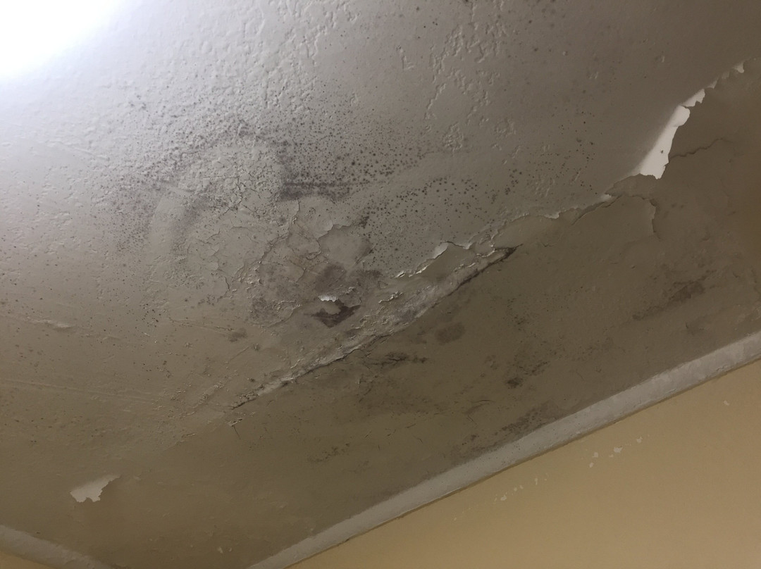 Days Inn by Wyndham Knoxville East主图