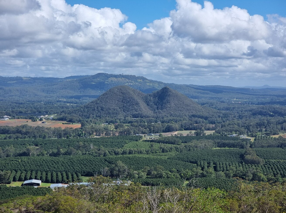 Glass House Mountains National Park景点图片