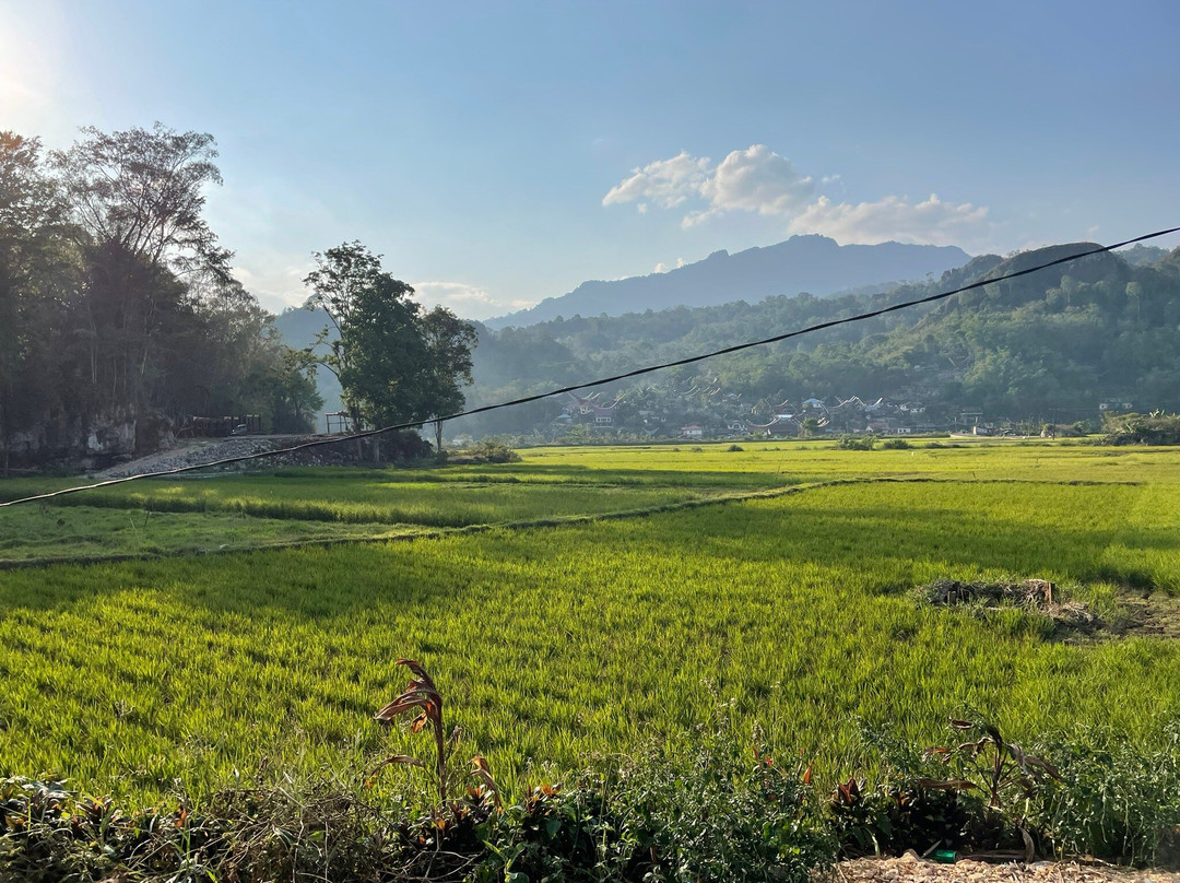 Toraja local guide景点图片