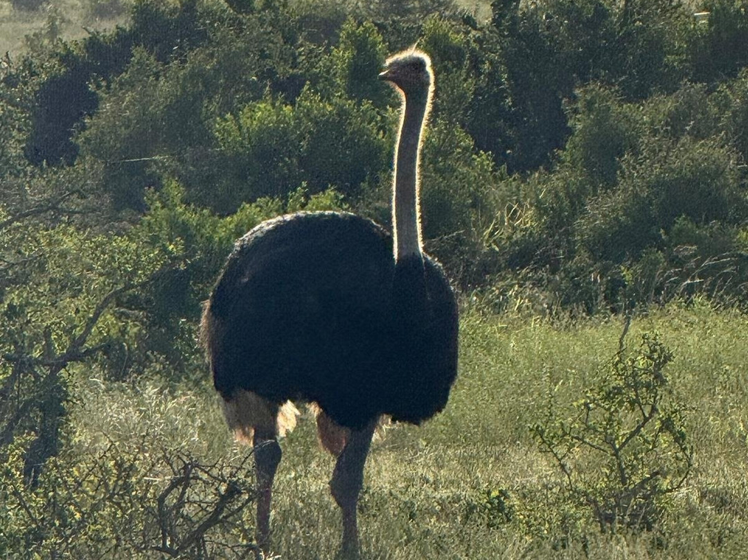 Zasendle Adventures-阿多必去景点