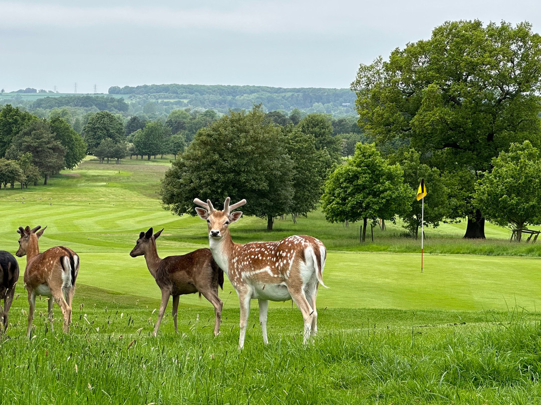 Belton Park Golf Club景点图片