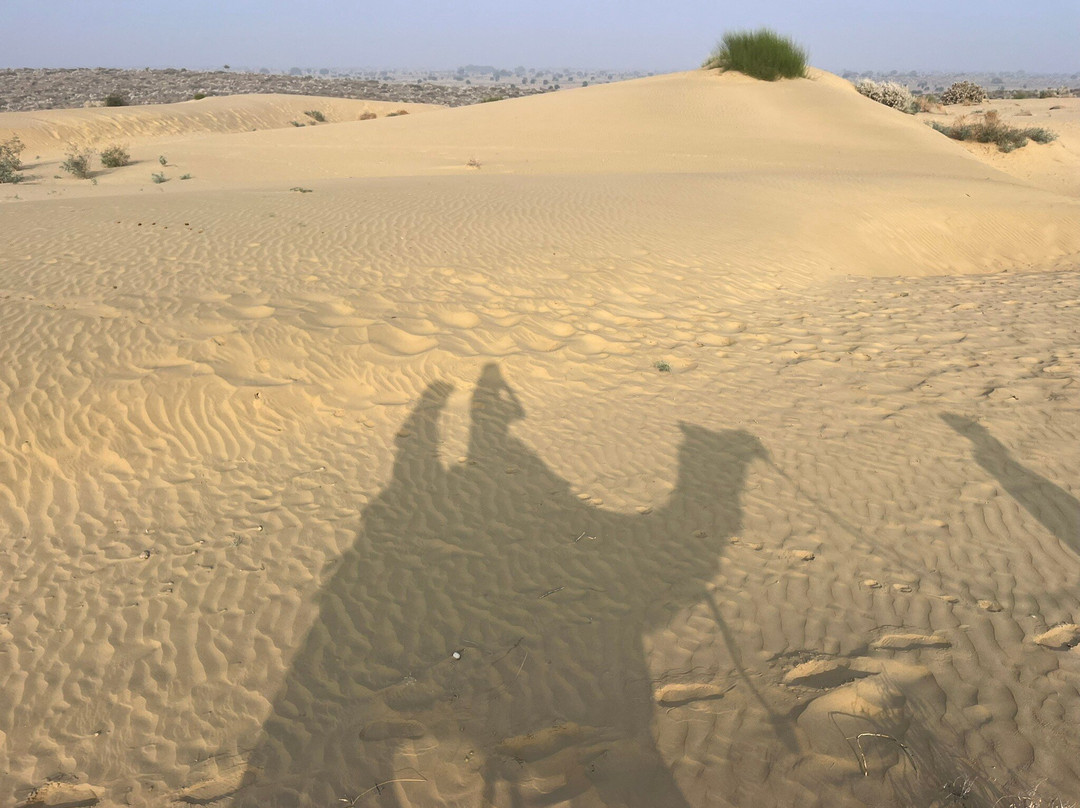 Renuka Camel Safari-杰伊瑟尔梅尔必去景点