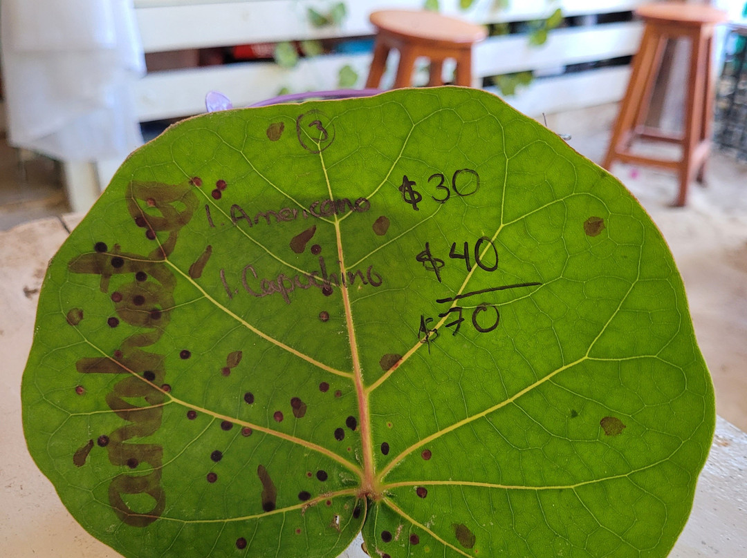 El Cuyo餐馆和美食-Anahata Café & Bistro