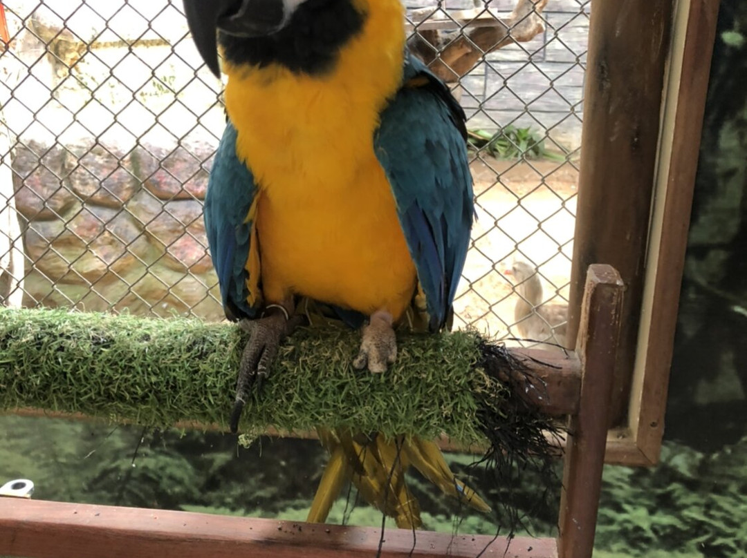 EcoPark Barra Grande-Barra Grande必去景点