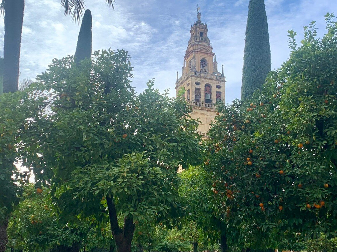 Patio de los Naranjos景点图片