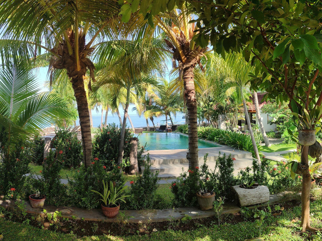 1000 Dream Bungalow主图