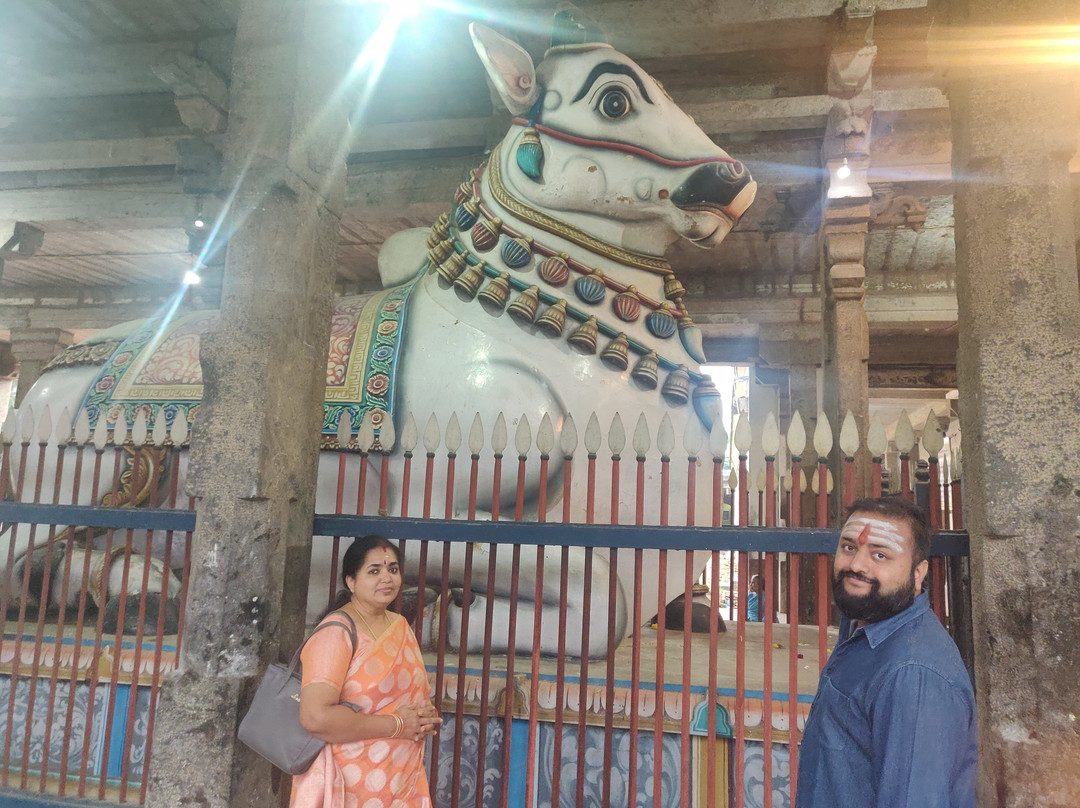 Thiruvidaimarudur Mahalinga Swamy Temple景点图片