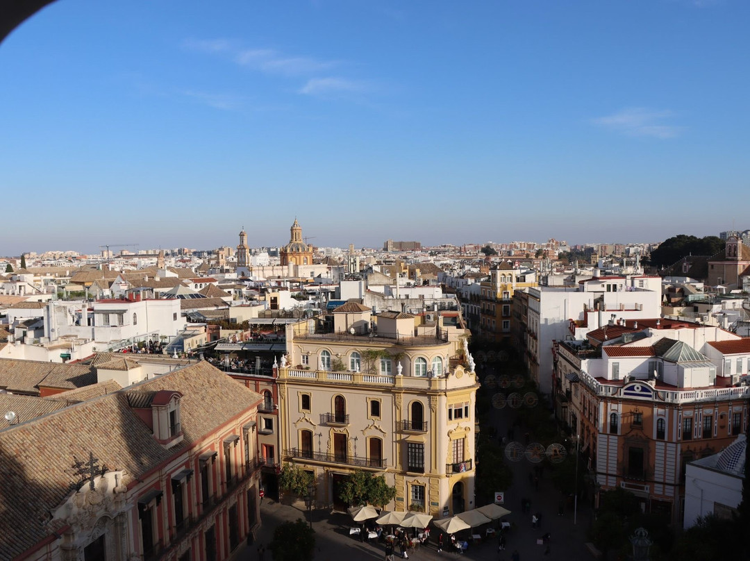 Tours By Locals-塞维利亚必去景点
