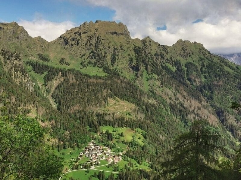 Cimon Della Stia