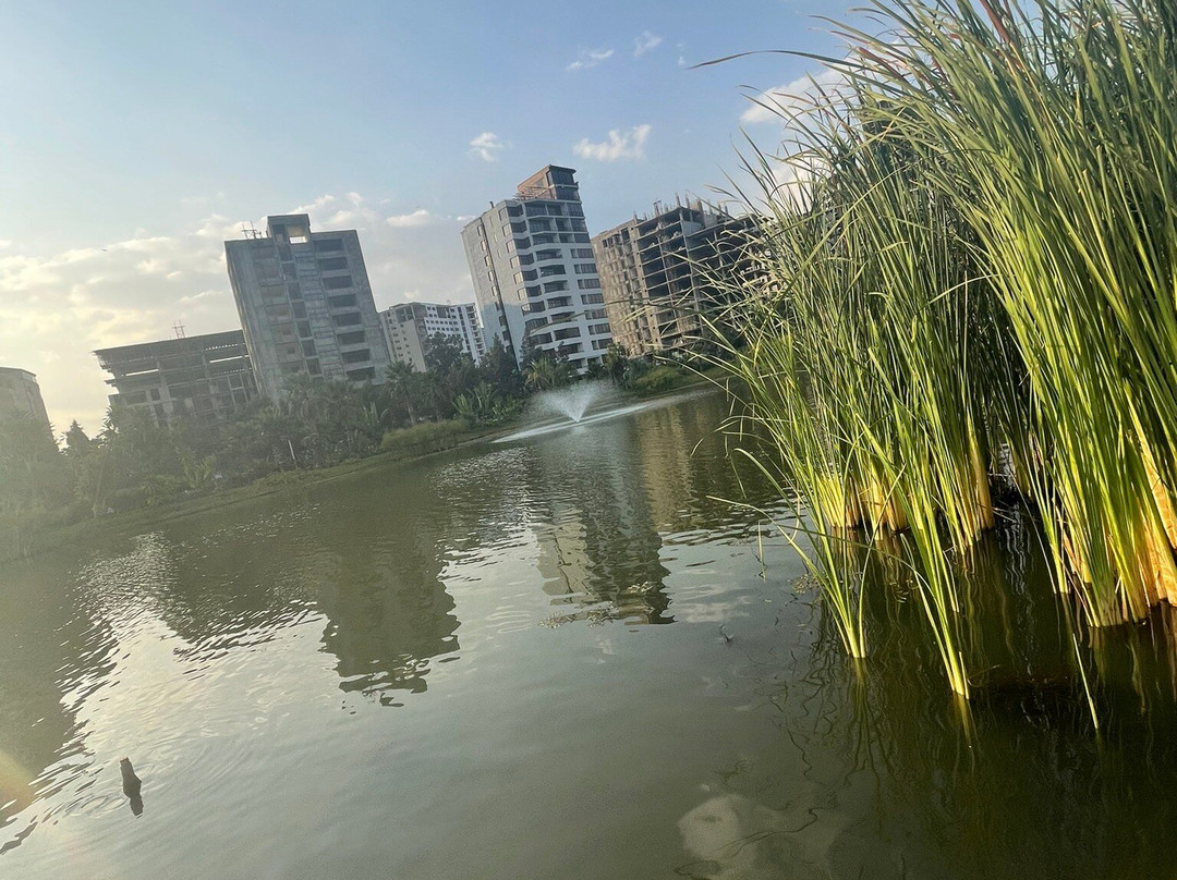 Friendship park 2景点图片