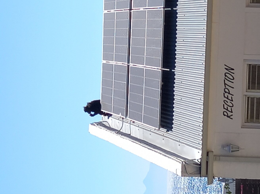 Rocklands Bed and Breakfast主图