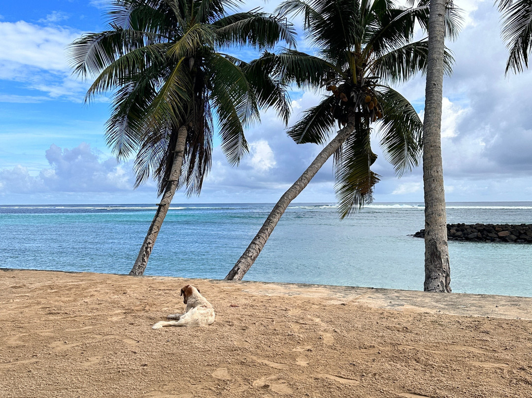 Vacations Beach Fales主图