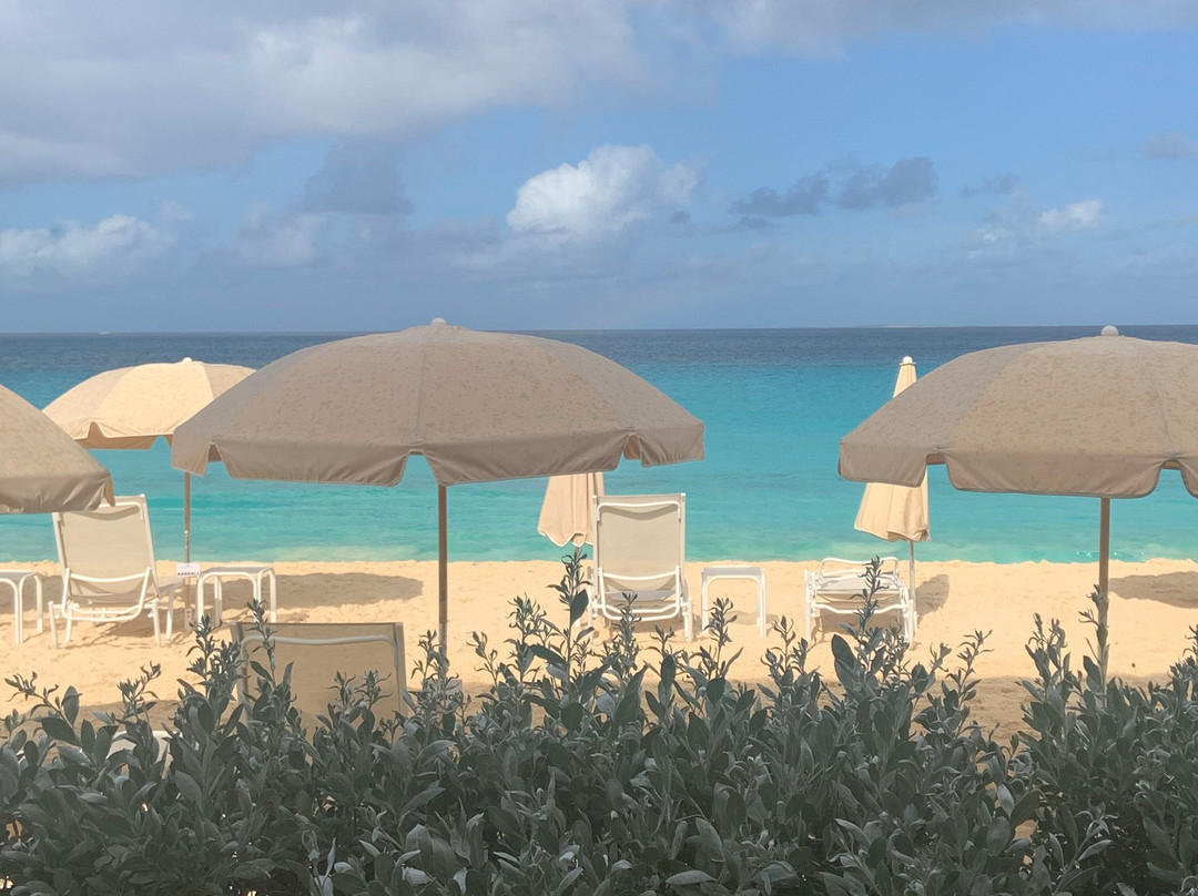 Carimar Beach Club主图