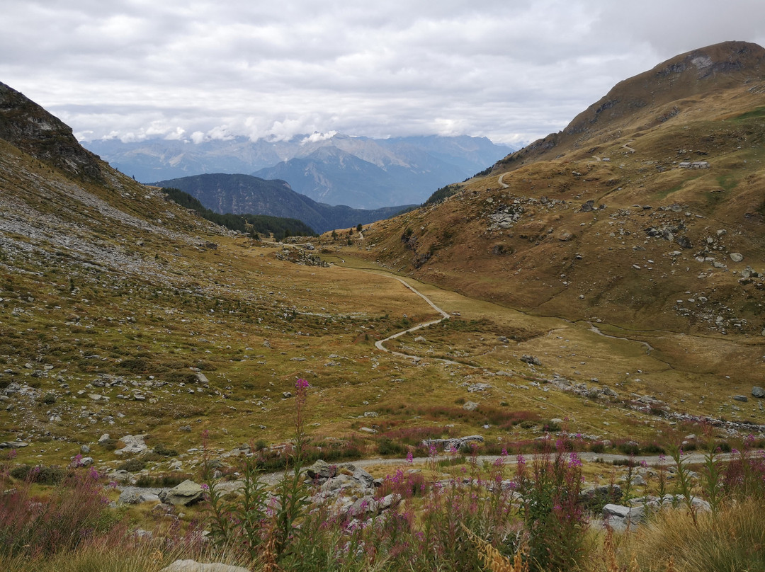Rifugio Arp主图